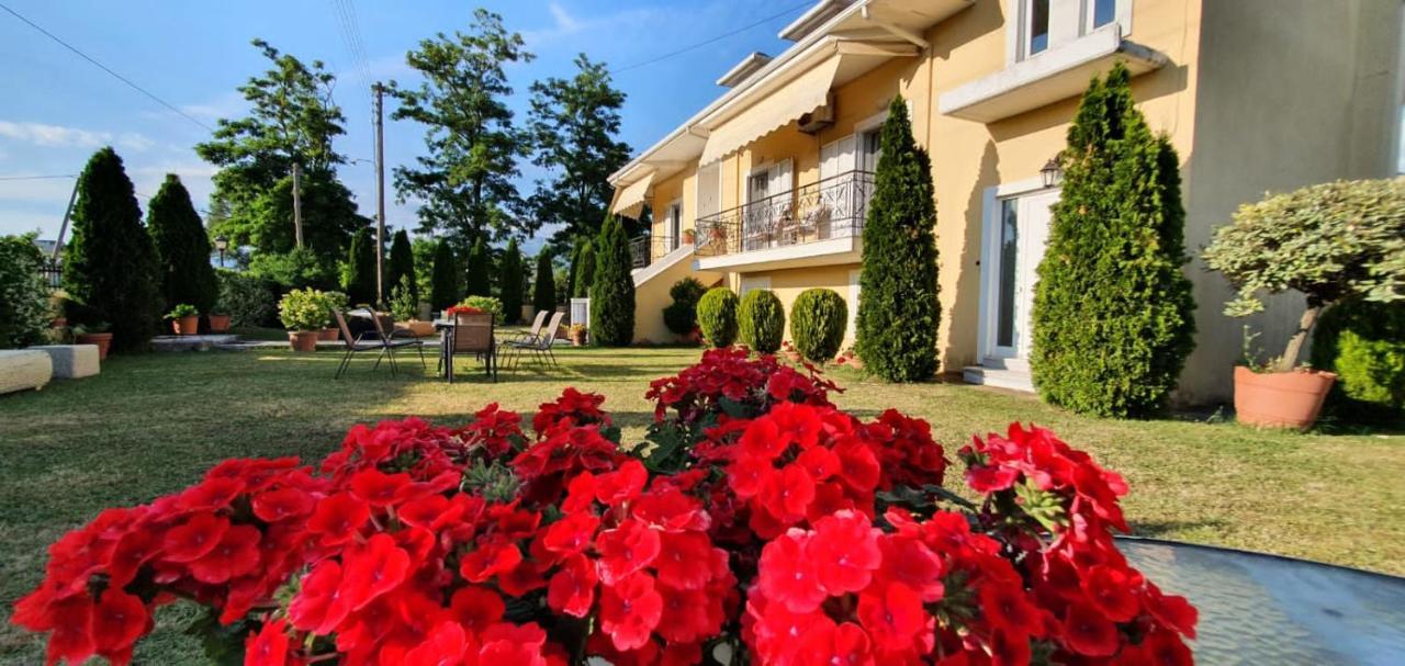 Sevi'S Luxury Guesthouse Villa Ioannina Exterior foto